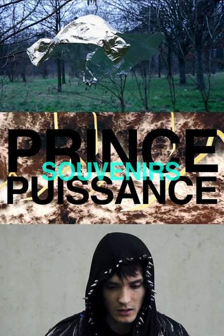 Prince, puissance, souvenirs